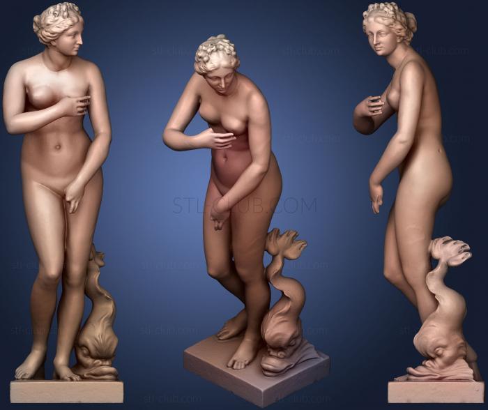 Venus type Medici